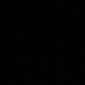 Meet your Posher, Sidney